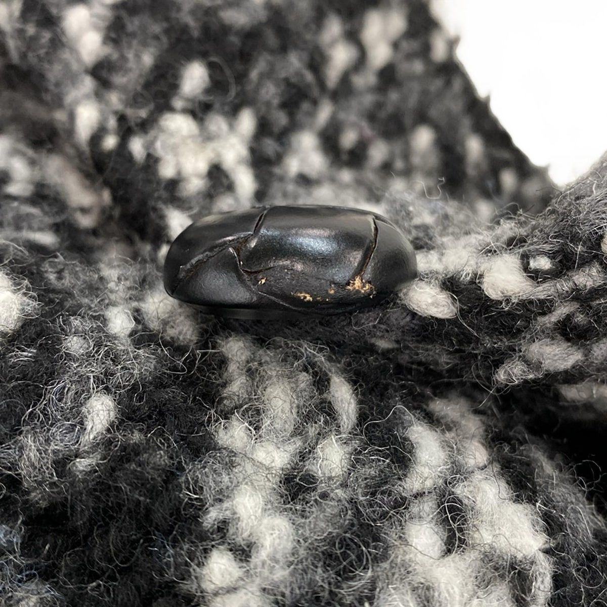 エンジニアードガーメンツ コート