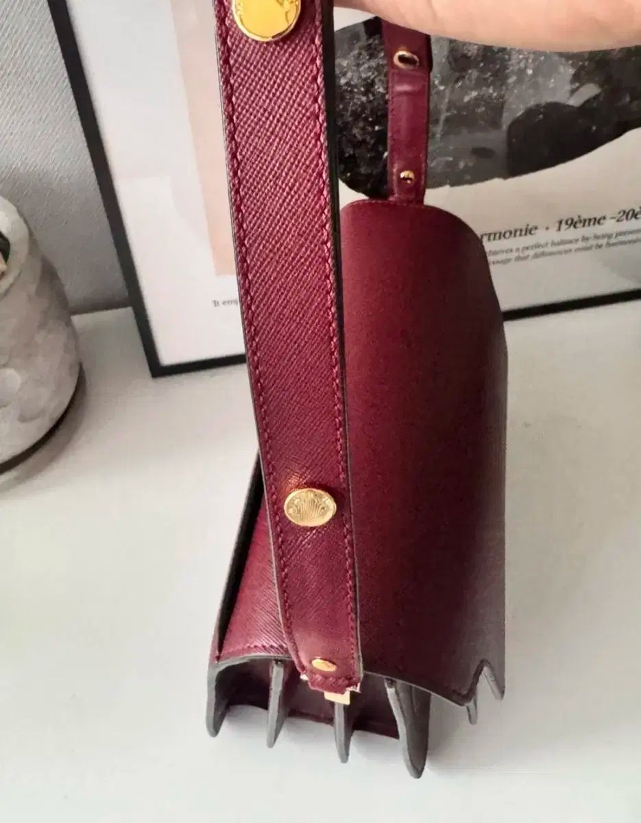 マルニ トランクバッグ バーガンディ Mサイズ クロス紐 なし