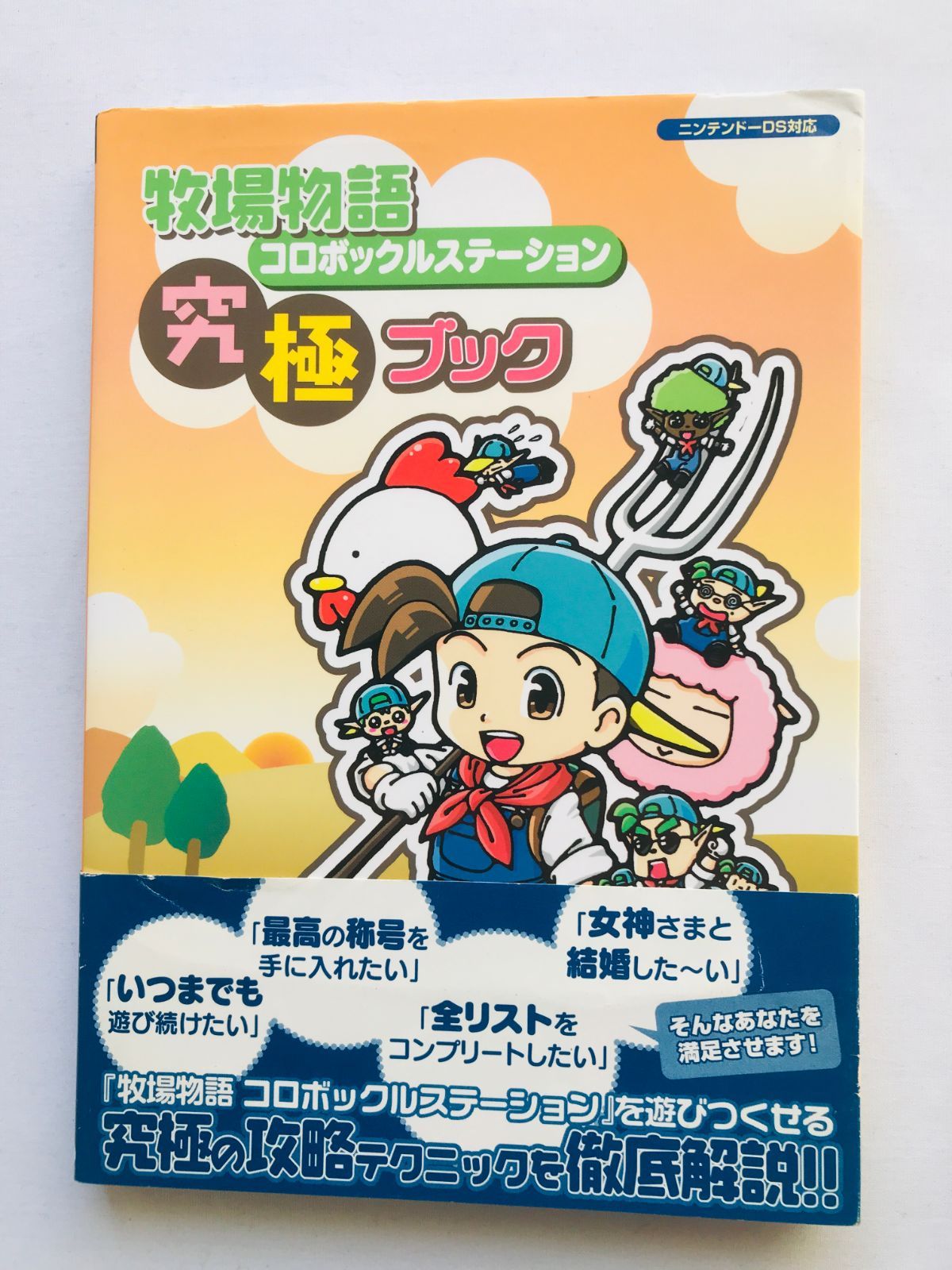 牧場物語コロボックルステーション 究極ブック DS 人気 攻略本 ガイド