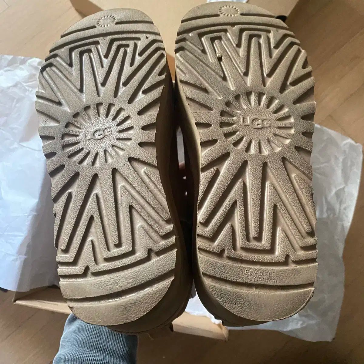 プラットフォーム チェスナット