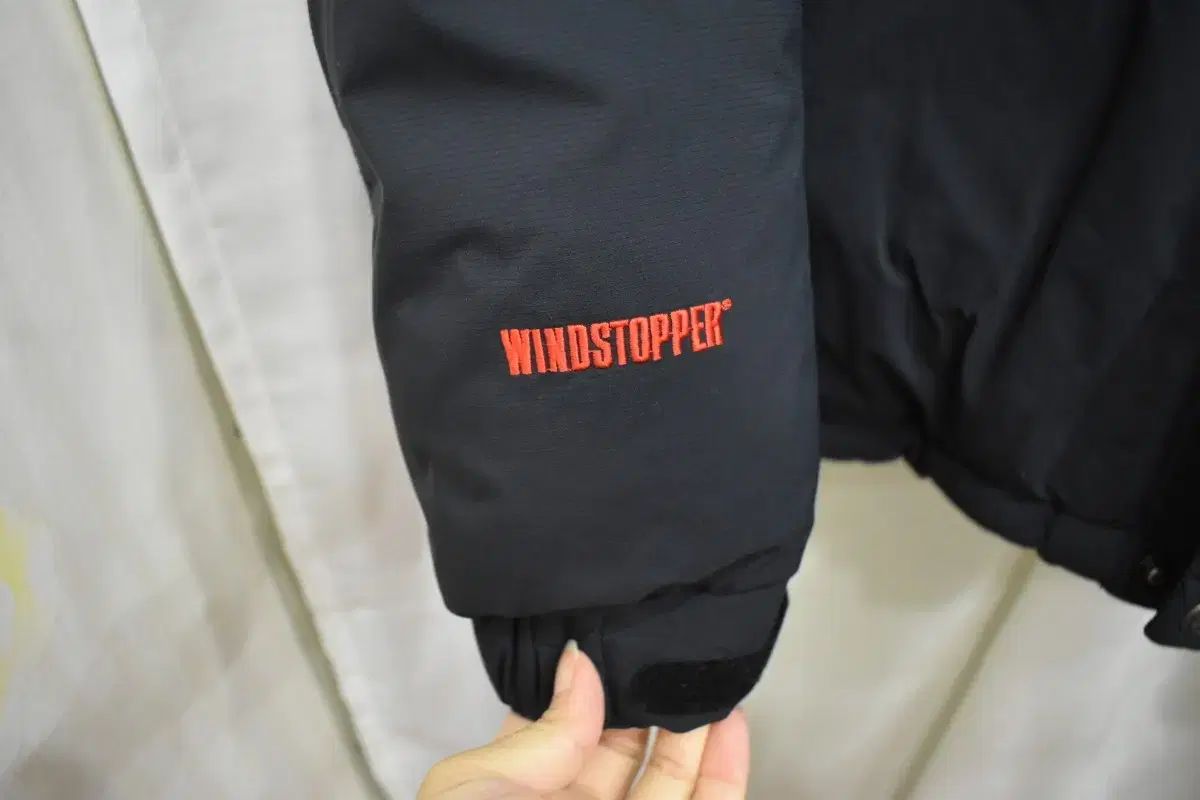 ビーンポール アウトドア メンズ ウィンドストッパー ダウン 100