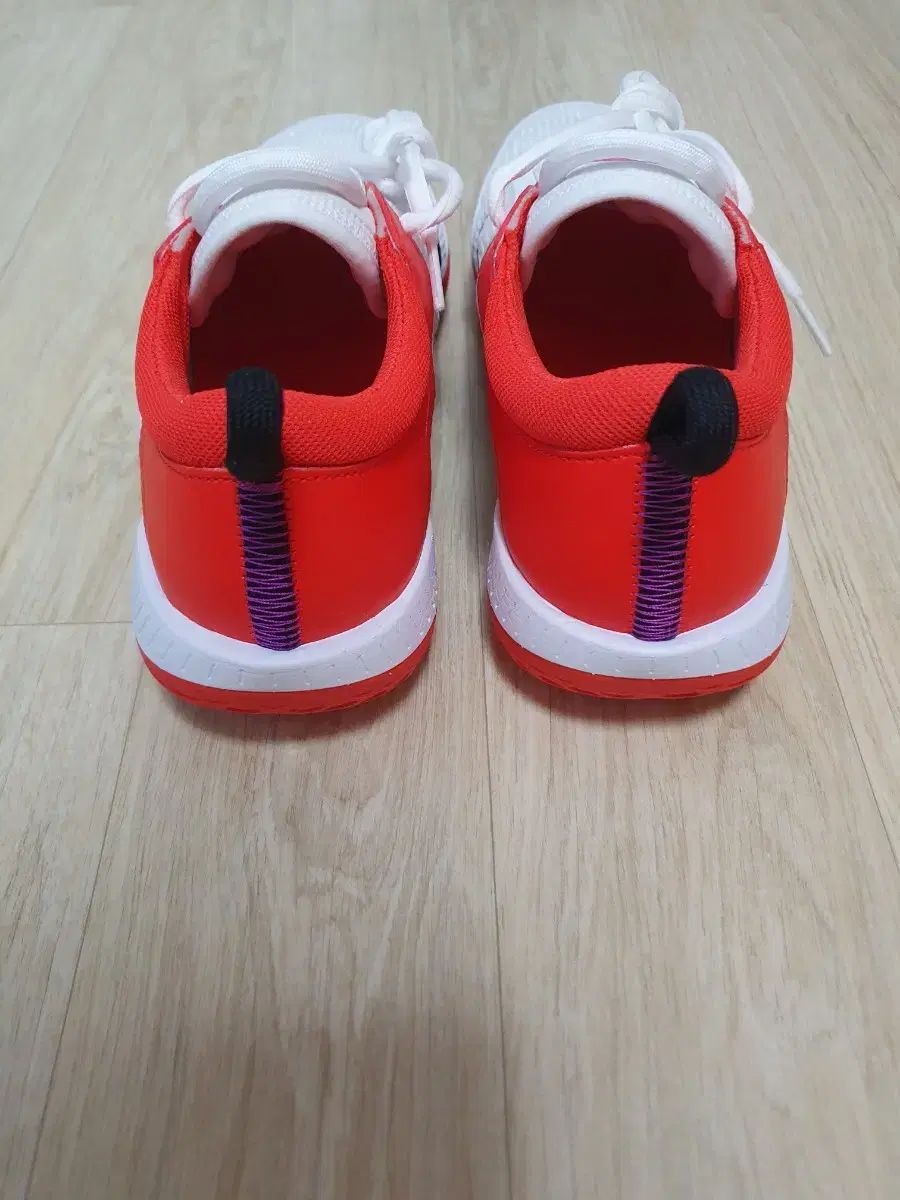 ナイキ ズームコート NXT テニスシューズ 255 LLC-HASEGAWATOSO_COM