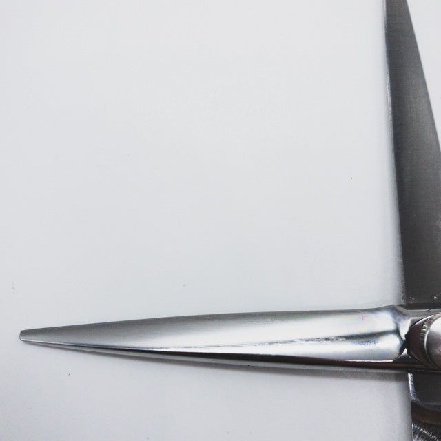 サクシードSUCCEED -WINGニューウィング6.0