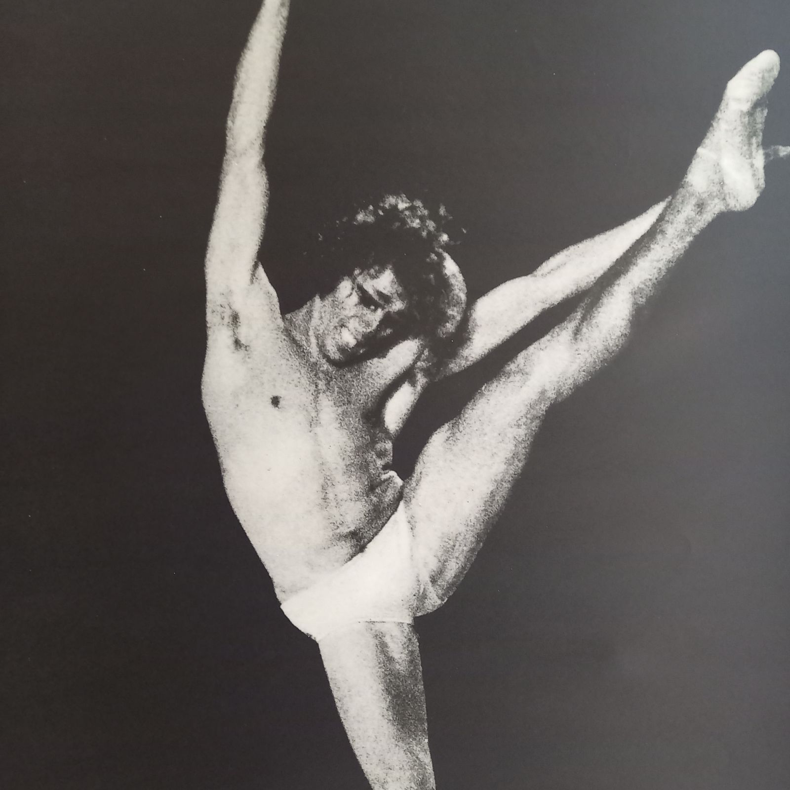 モーリス ベジャール ジョルジュ ドン ニジンスキー ポスター