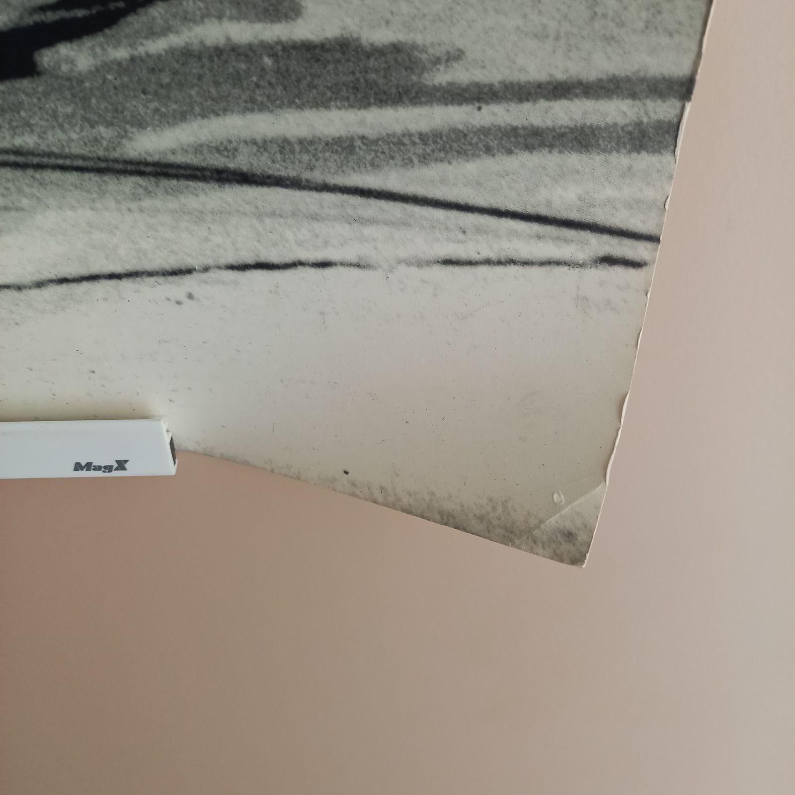 間違いなく モーリス ベジャール ジョルジュ ドン ニジンスキー ポスター