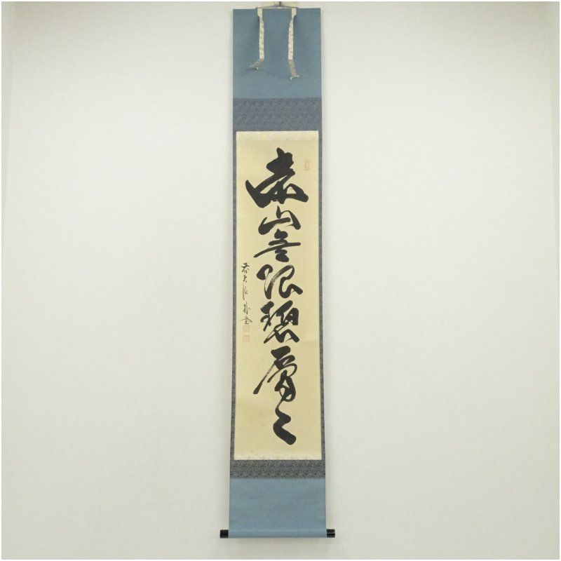 前大徳 佐藤朴堂筆 遠山無限碧層々 一行書 肉筆紙本掛軸 保護箱 掛け軸 床の間 書 おしゃれ 絵画 表具 芸術 茶道 年中掛け インテリア 茶掛 掛物 和室 5月 6月 春夏