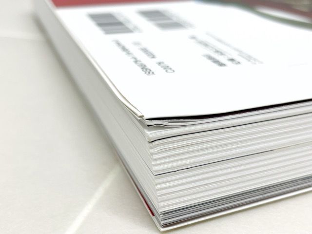 ファイアーエムブレム 蒼炎の軌跡 暁の女神 設定資料集 テリウス リ 上下セット F 5599-007 016