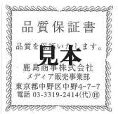 KASHIMA プラチナ900台 0.1ct ダイヤモンド 一粒石 プチ ペンダント ネックレス FORTGASGNV_COM_BR