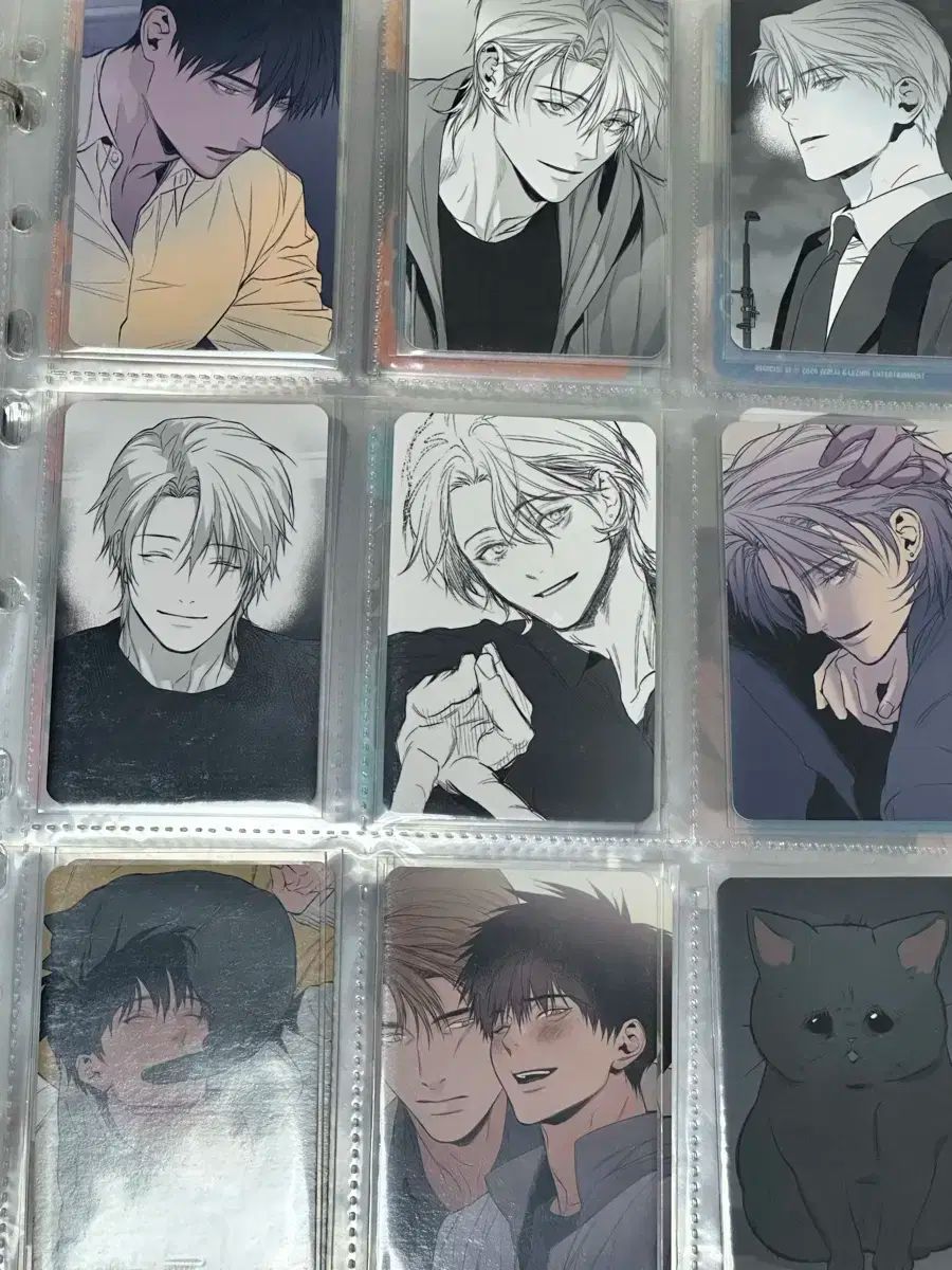 トレカ 全メンバー セット 걷지 않는 다리 WWW_MERCADOAVALIA_COM_BR