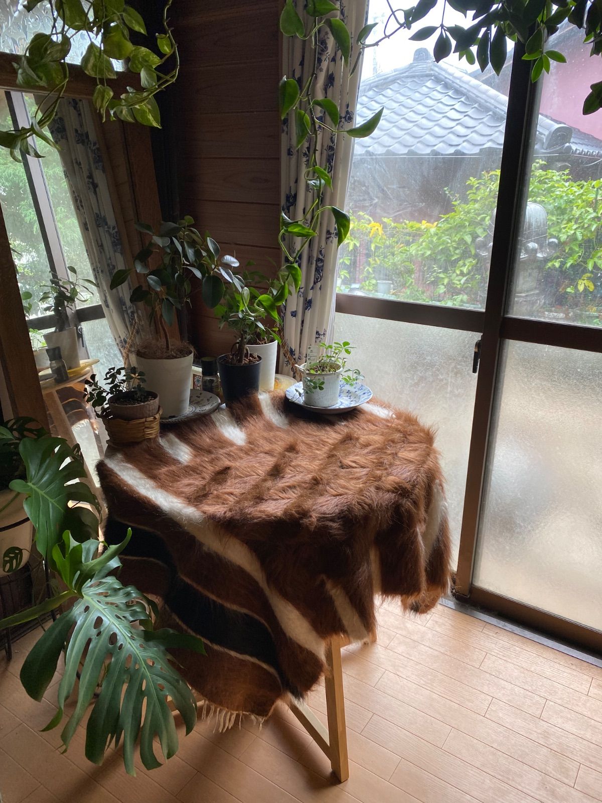 上アンゴラヤギ艶々の一枚 サイドにもボーダーの入った滅多に無い柄です