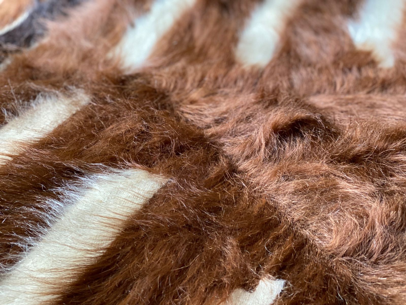 トルコシイルトより直輸入