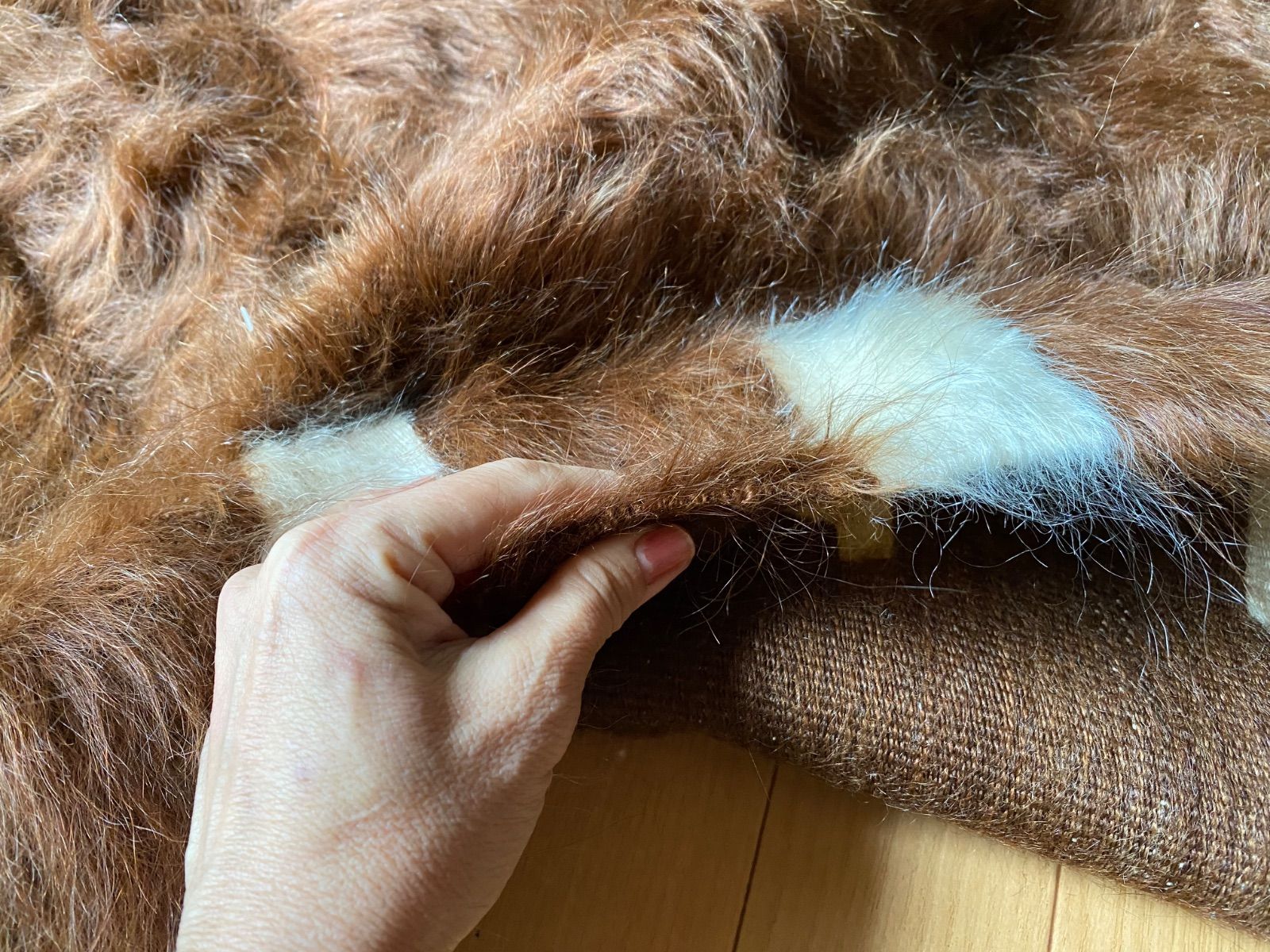 とっておきの1枚 セミアンティークシイルトバッタニイェ古い時代の