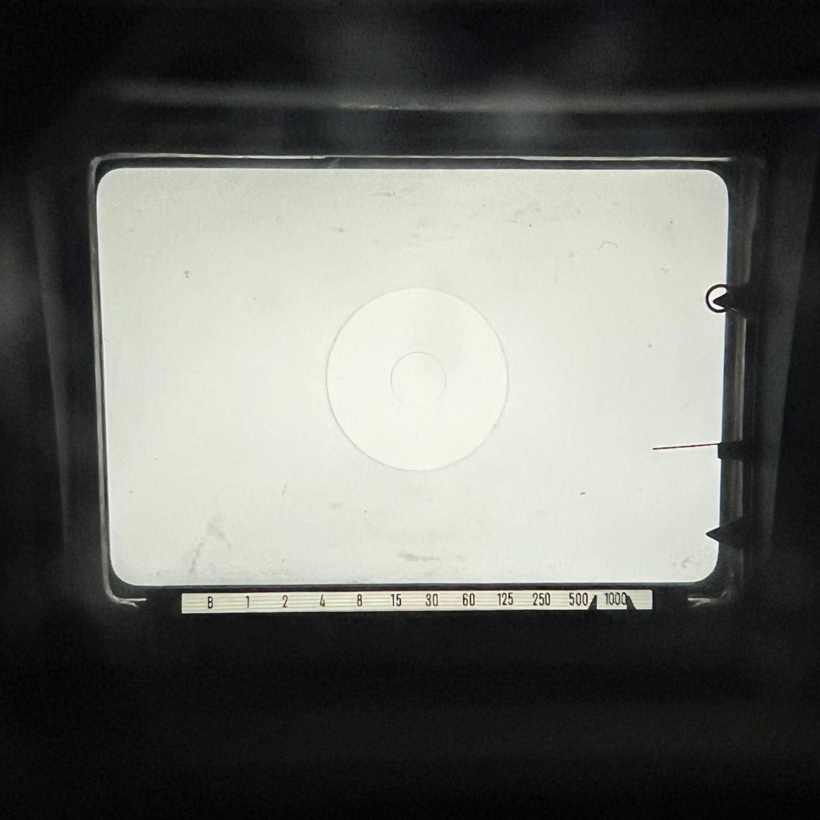 ミノルタ ボディ