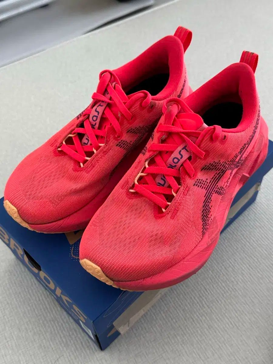 レディース アシックス ノヴァブラスト5 ウィメンズ 240