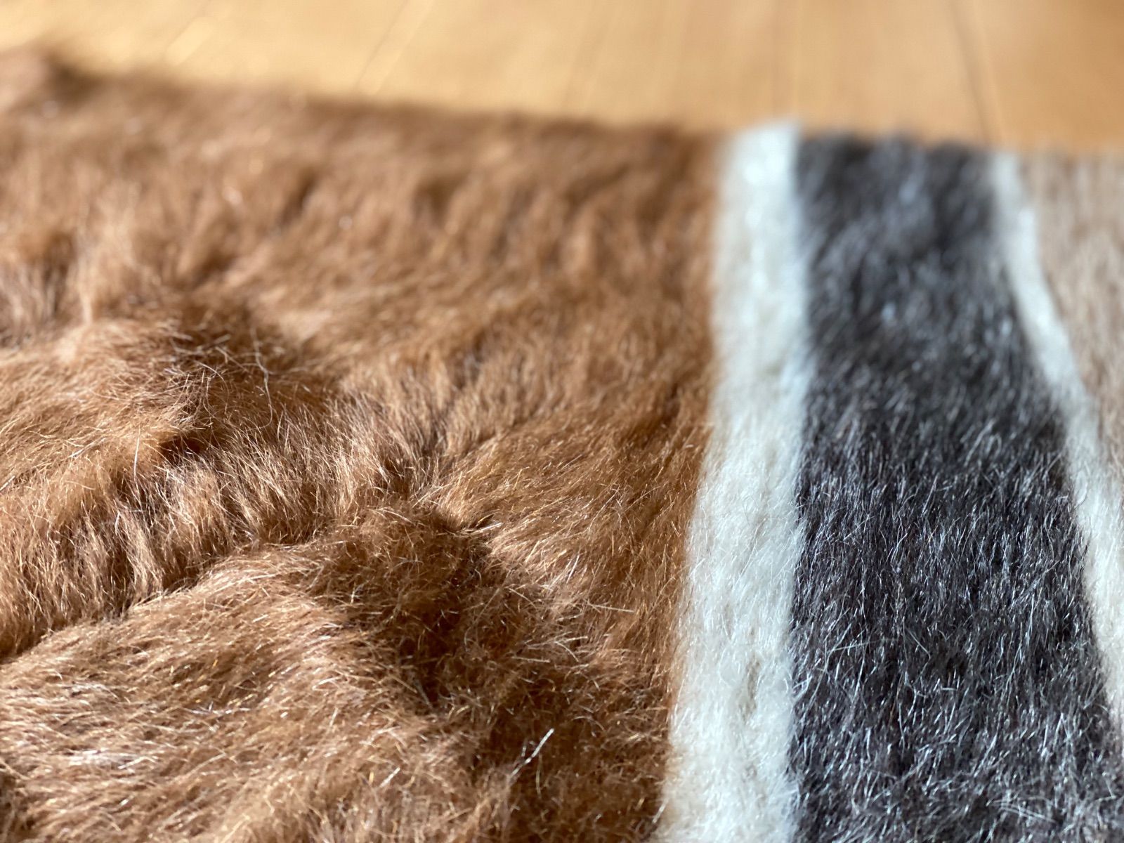 感あるシイルトバッタニイェ