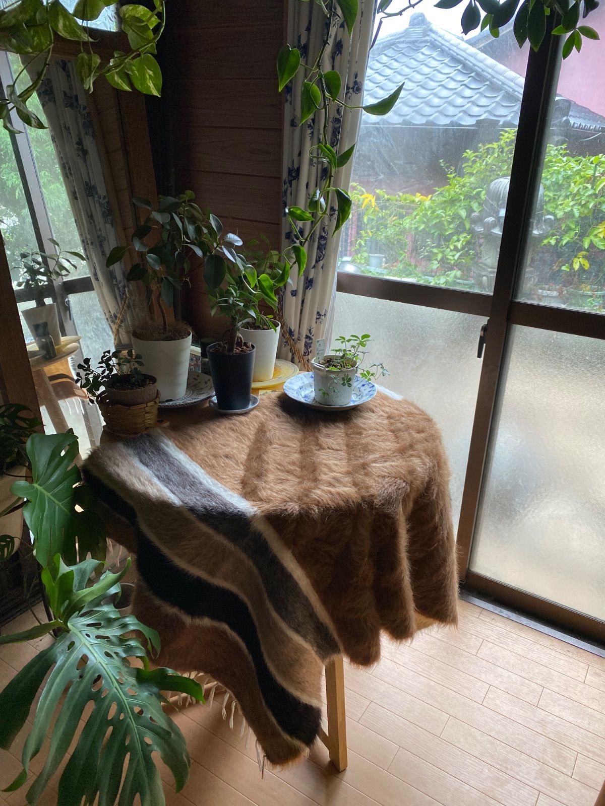 ミフラブ柄在庫最後1枚