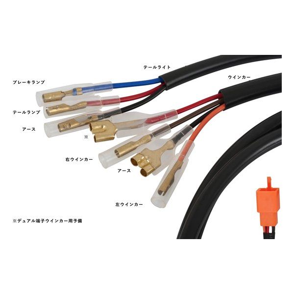 CUSTOMS モートーンカスタムズ