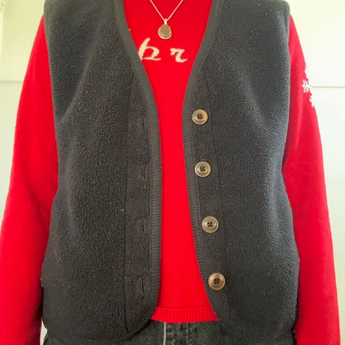 パタゴニア Synchilla シンチラ フリース ベスト