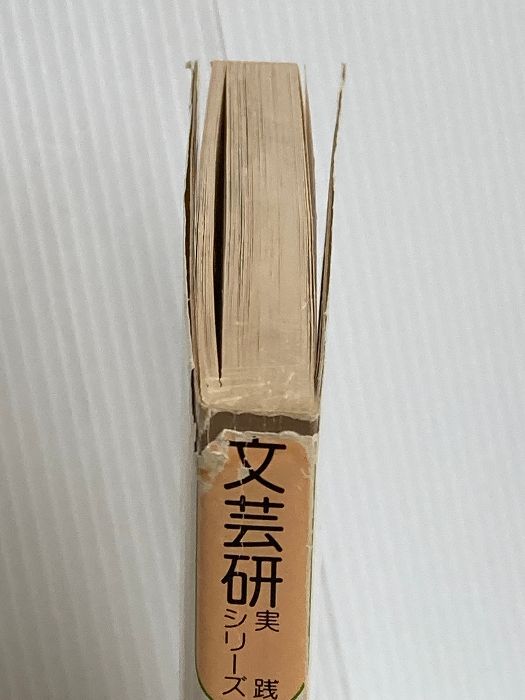 文芸研実践シリ-ズ