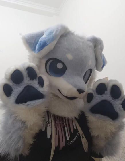 ファースーツ 着ぐるみセット NO.274 犬 薄青 ケモノ ファースーツ 全頭ヘッド ぬいぐるみ コスプレ コスチューム kigurumi