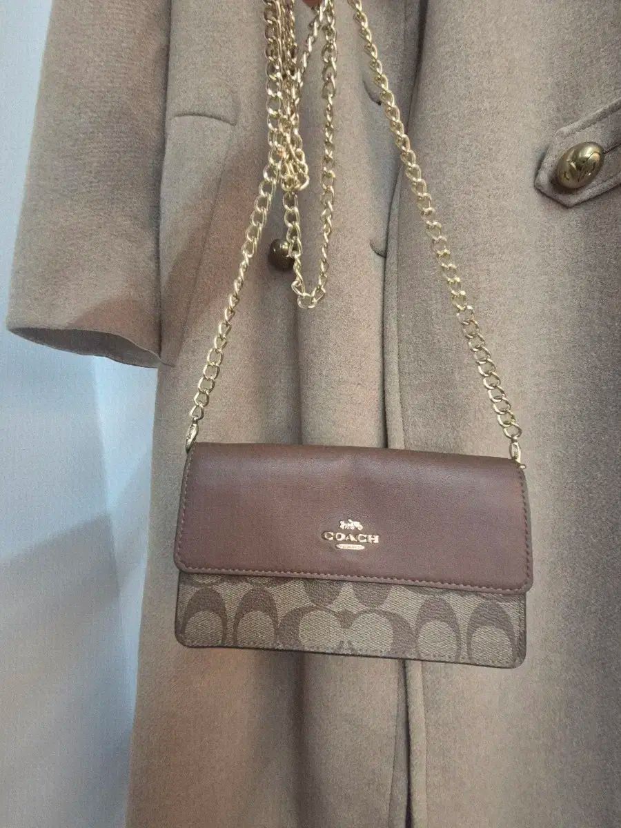 COACH コーチ cignature シグネチャー チェーン クロスバック ブラウン