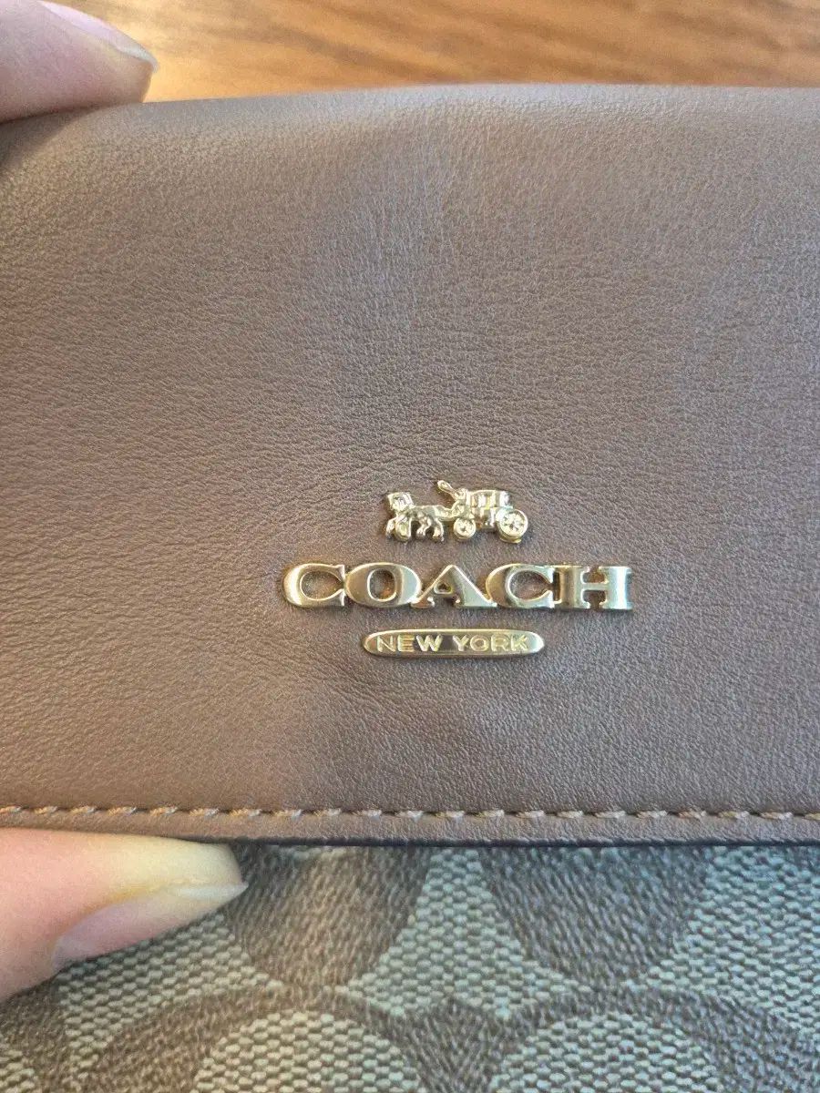 COACH コーチ cignature シグネチャー チェーン クロスバック ブラウン DECORATOM_COM_BR