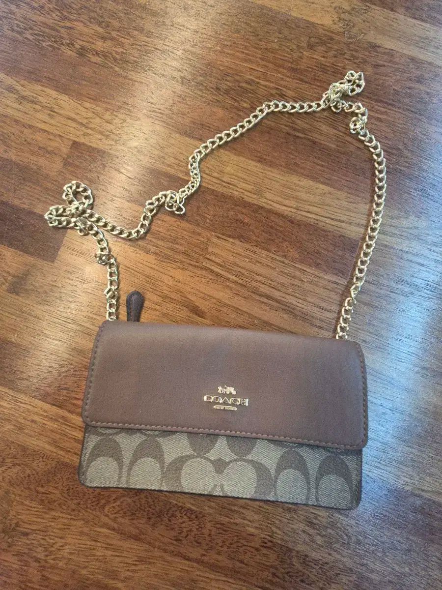 COACH コーチ cignature シグネチャー チェーン クロスバック ブラウン