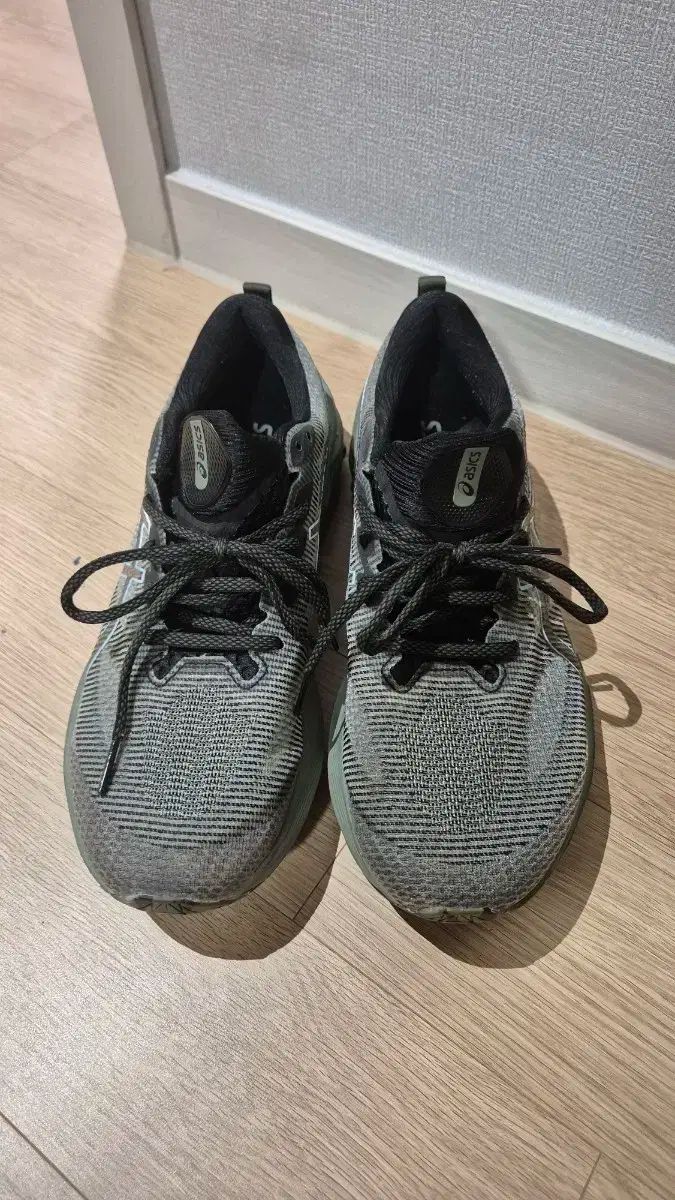 アシックス ノヴァブラスト 2 LE グリーン ランニングシューズ 27.5 cm