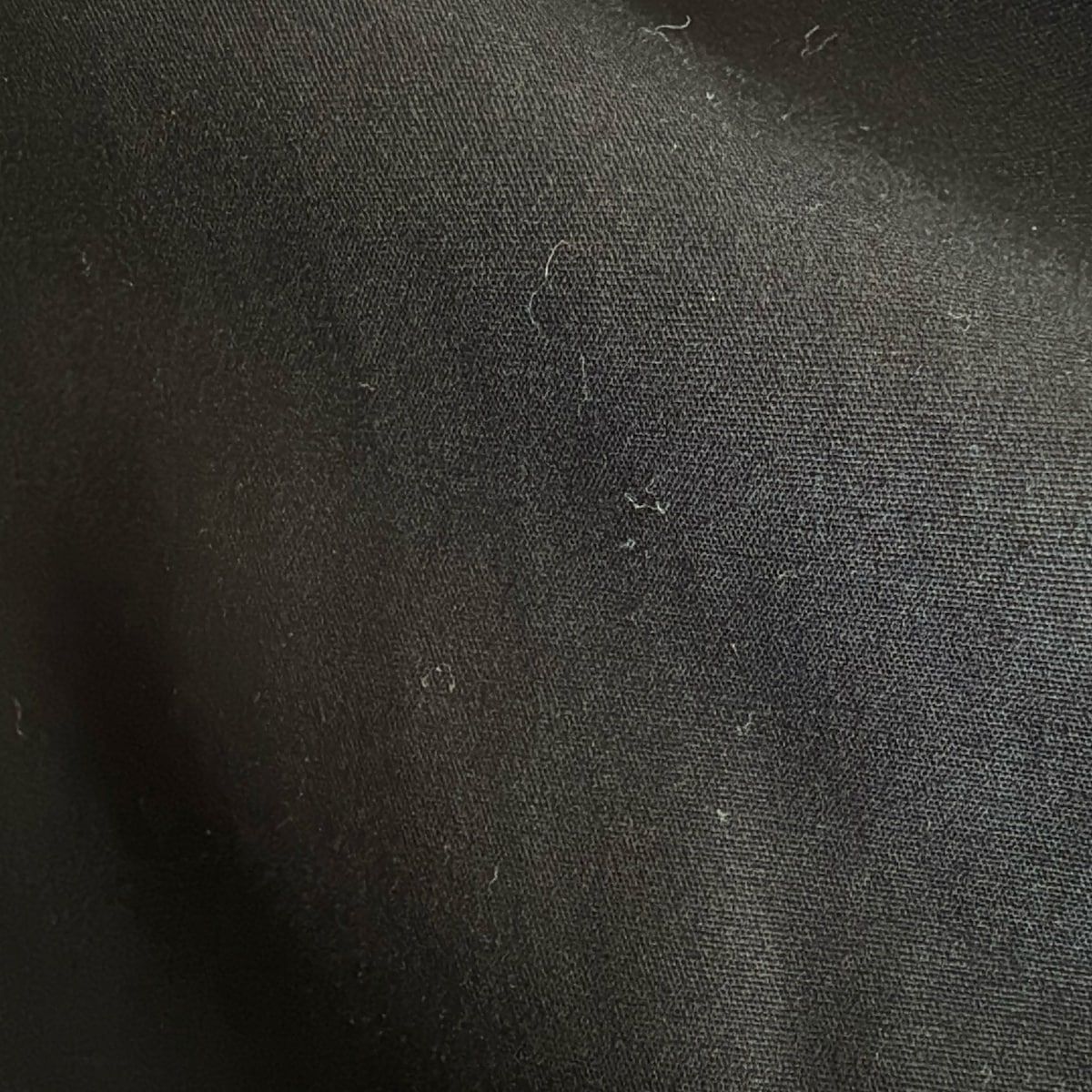 ナゴンスタンス