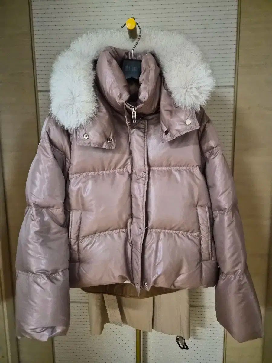 DEWL グース クロップド ダウン 55 66 軽いです