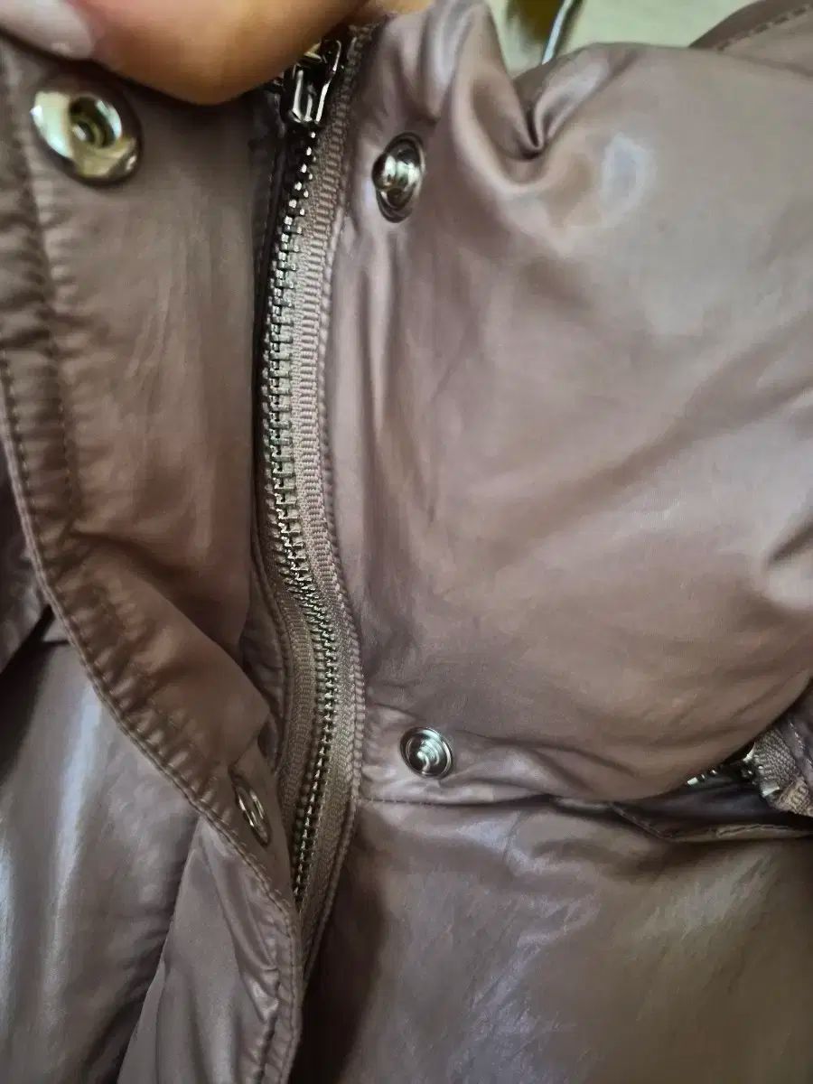 グース クロップド