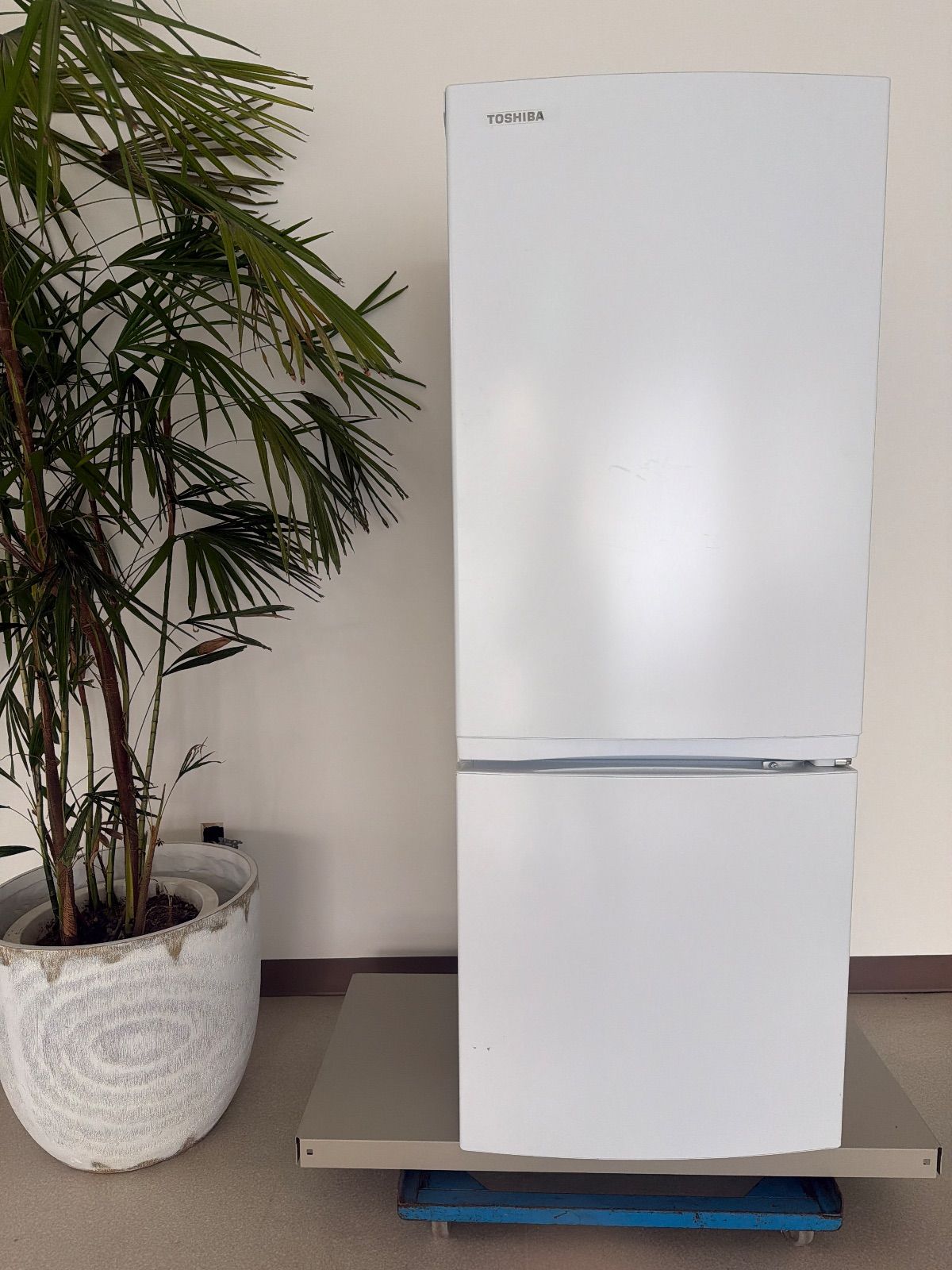 東芝 冷蔵庫 153L 2022年製 冷蔵庫 TOSHIBA 153L 2022年製 単身用