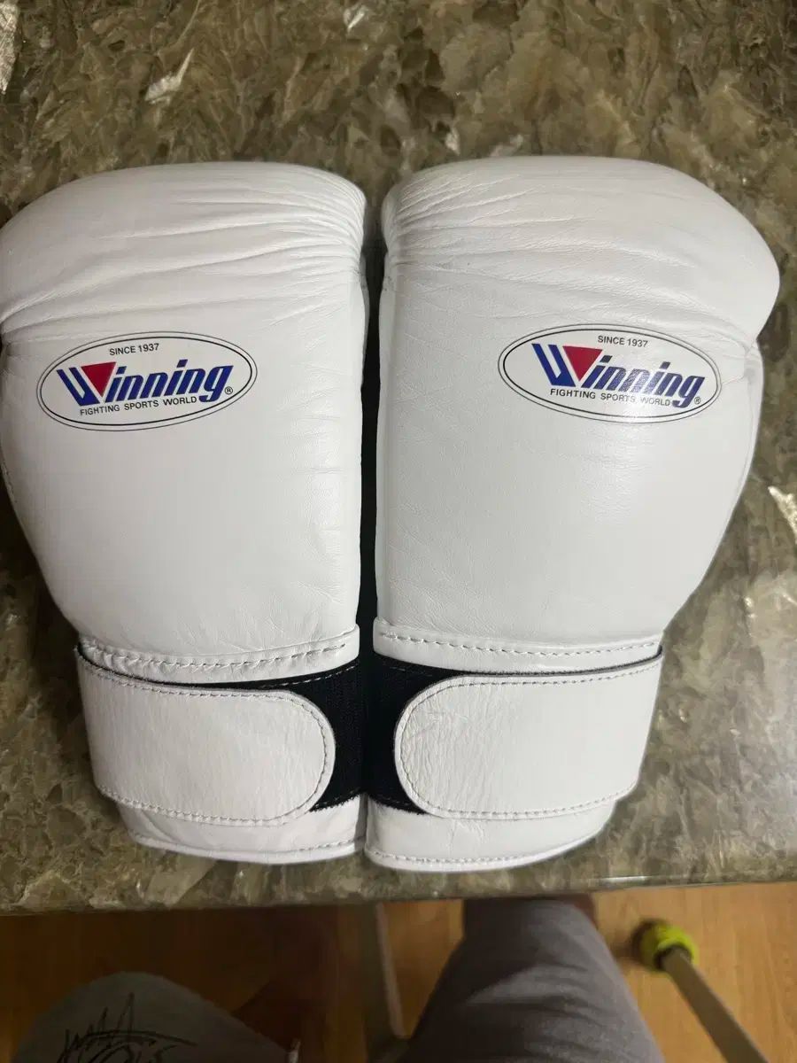 ウイニング Winning ウイニング ボクシンググローブ 12oz 赤 ソフト