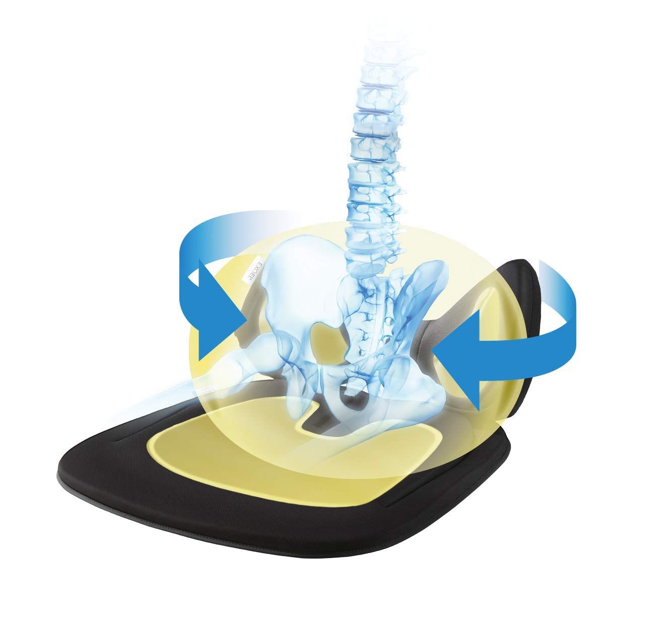 EXGEL エクスジェル