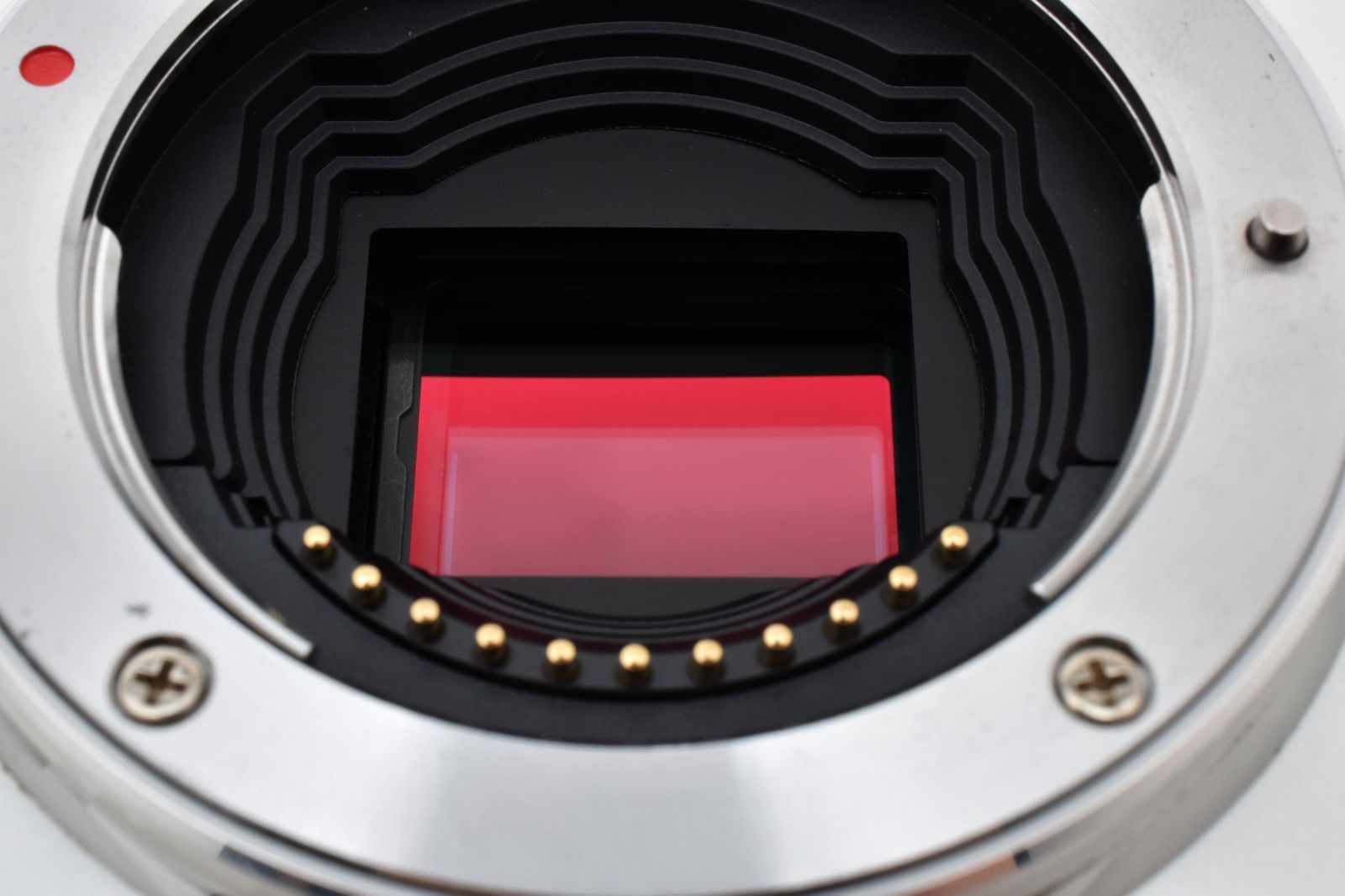 ボディ ホワイト