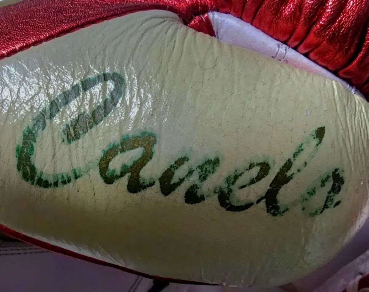  ノーボクシングノーライフ カネロ エディション グローブ その他 ボクシング