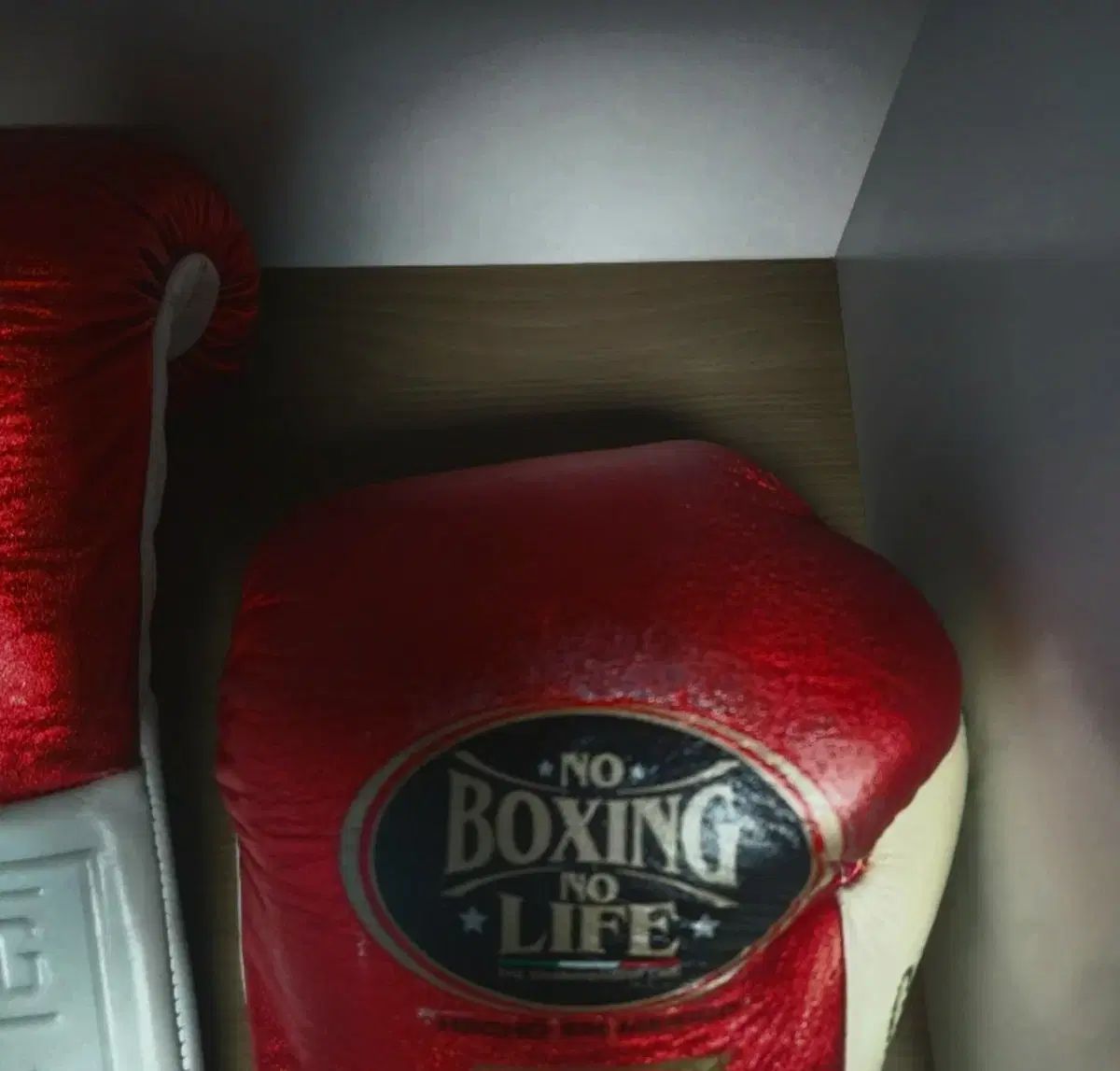 ノーボクシングノーライフ カネロ