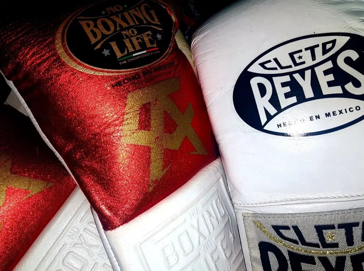 ノーボクシングノーライフ カネロ エディション グローブ