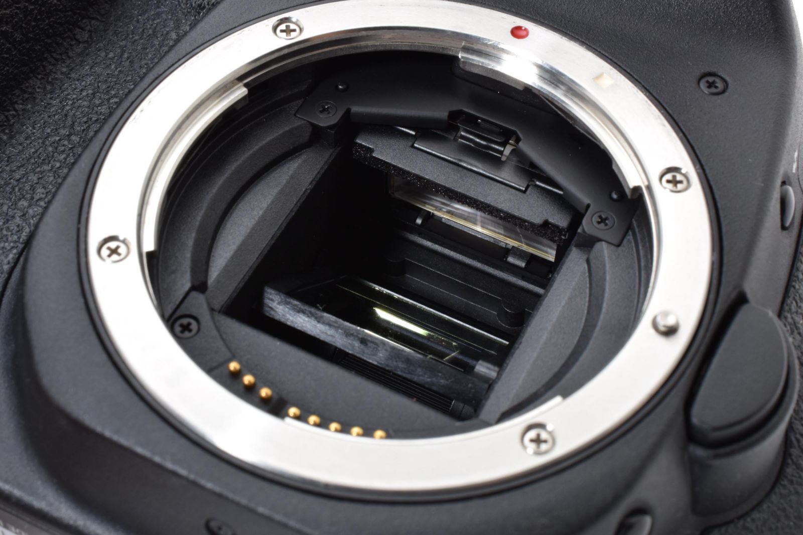 ✨ショット数420回✨Canon Kiss X5✨超望遠セット✨スポーツもOK