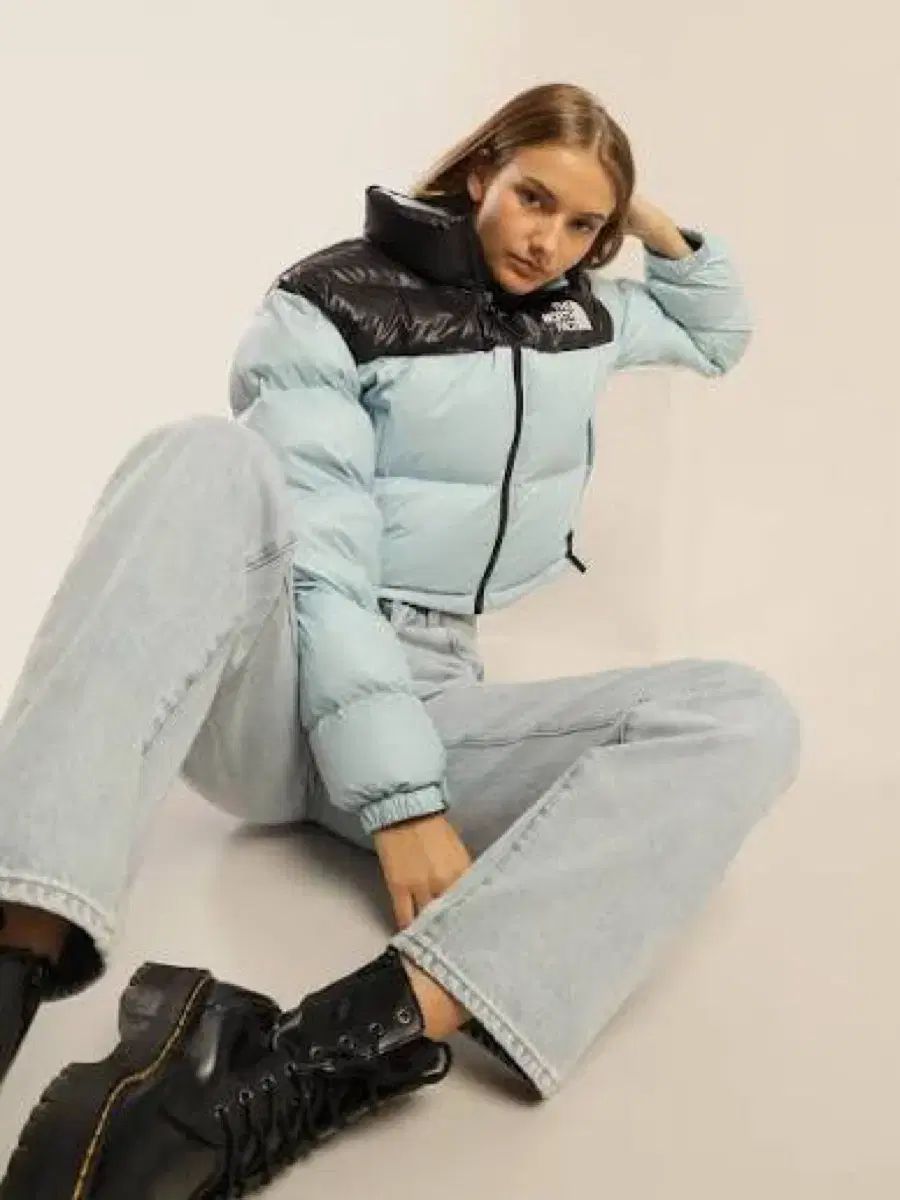 THE NORTH FACE 700 ヌプシ ショートダウン