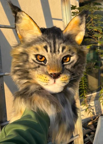 着ぐるみヘッド 猫 NO.410 リアルスタイル 全頭ヘッド ケモノ ファースーツ ぬいぐるみ コスプレ コスチューム kigurumi