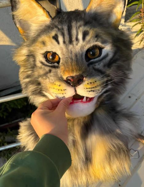 リアルスタイル