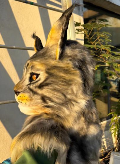 着ぐるみヘッド 猫 NO.410 リアルスタイル 全頭ヘッド ケモノ ファースーツ ぬいぐるみ コスプレ コスチューム kigurumi