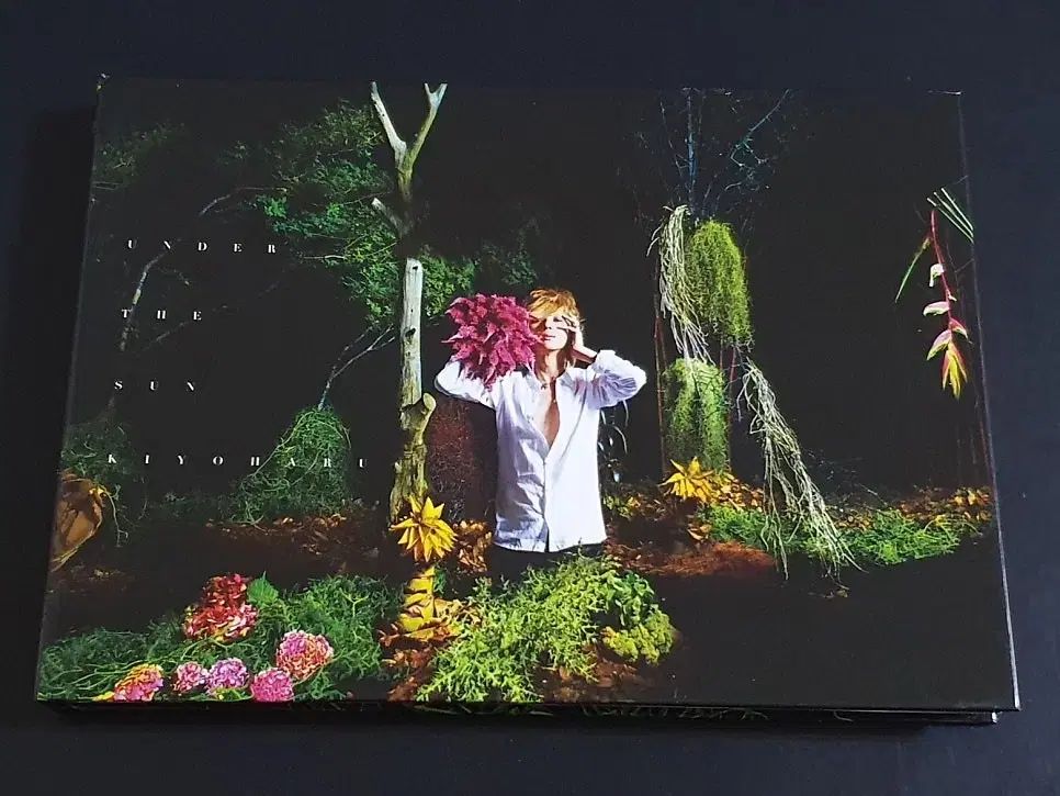 ANRI 木彫り人形 2000体限定 キス アンリ フィギュア フィギュリン