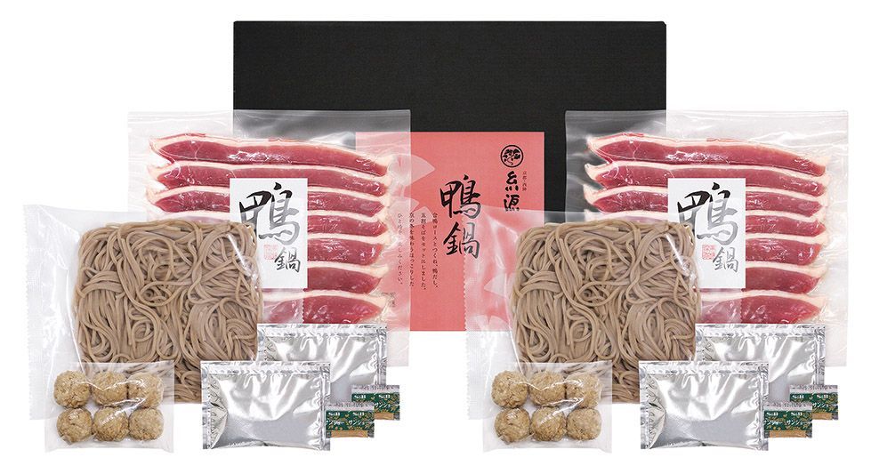 伊藤超短波 STYLIFT（スタイリフト）家庭用EMS美顔器 充電器 正規品