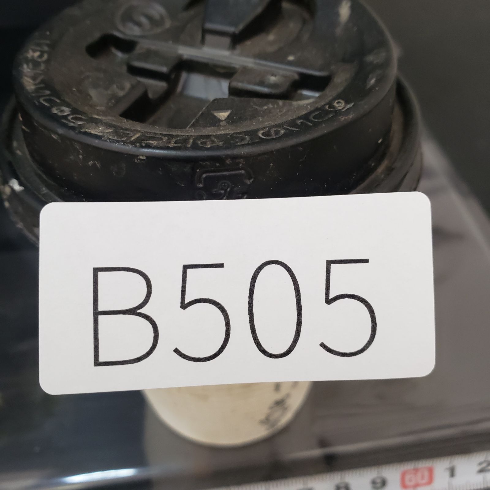 B 505 自社養生株 チレコドン レティキュラータス 万物想 現地球 発根株 鉢植え 塊根植物