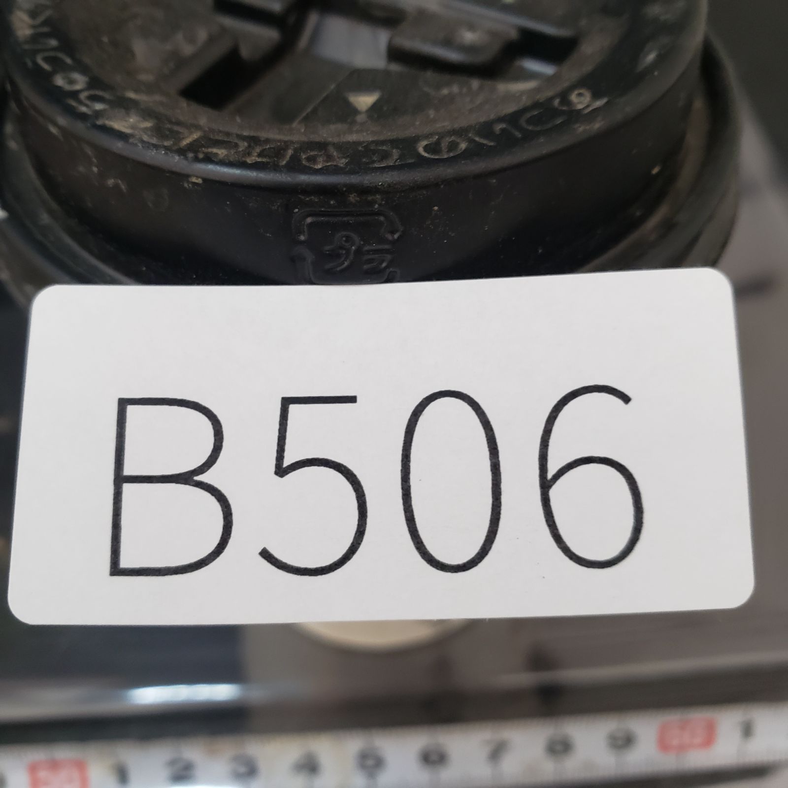 B506 自社養生株 チレコドン レティキュラータス 万物想 現地球 発根株 鉢植え 塊根植物 WWW_GEBZETESISAT_COM_TR