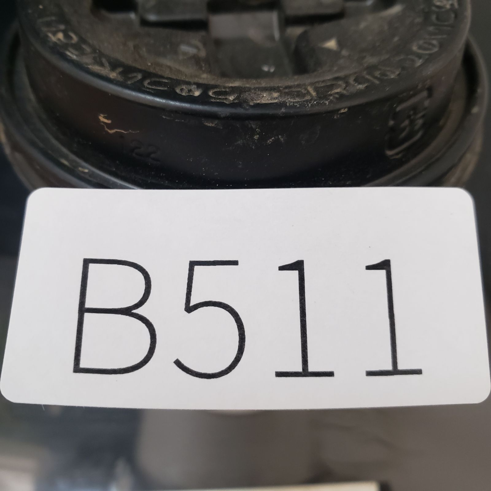 B511 自社養生株 ドルステニア ギガスブラータ 発根株 鉢植え 球根植物 WWW_GEBZETESISAT_COM_TR