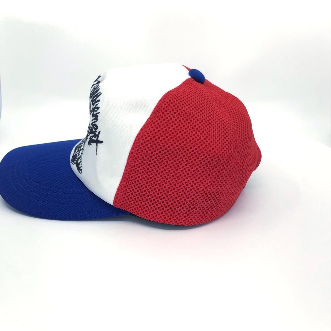 ポリエステル ブルー