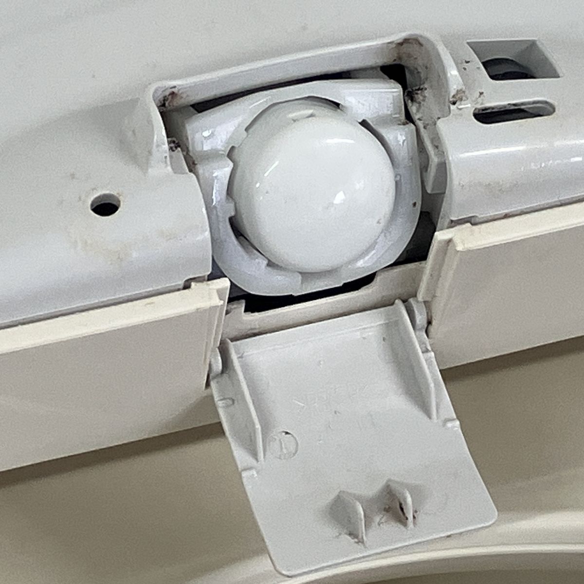 パステル アイボリー